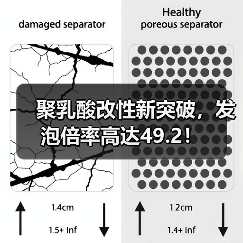 聚乳酸改性新突破，发泡倍率高达49.2！（图2）