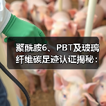 聚酰胺6、PBT及玻璃纤维碳足迹认证揭秘：减排策略全解析（图4）