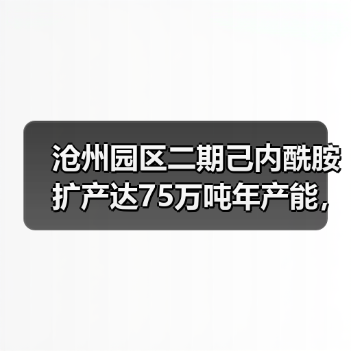 沧州园区二期己内酰胺扩产达75万吨年产能,如何实现?(图4) 沧州园区二期己内酰胺扩产达75万吨年产能,如何实现?(图4)