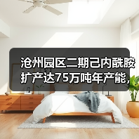 沧州园区二期己内酰胺扩产达75万吨年产能,如何实现?(图3) 沧州园区二期己内酰胺扩产达75万吨年产能,如何实现?(图3)