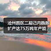 沧州园区二期己内酰胺扩产达75万吨年产能,如何实现?(图1) 沧州园区二期己内酰胺扩产达75万吨年产能,如何实现?(图1)