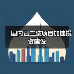 国内己二胺项目加速投资建设(图4) 国内己二胺项目加速投资建设(图4)