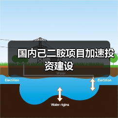 国内己二胺项目加速投资建设(图1) 国内己二胺项目加速投资建设(图1)