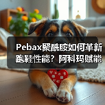 Pebax聚酰胺如何革新跑鞋性能?阿科玛赋能迪卡侬KIPRUN突破性跑鞋(图1) Pebax聚酰胺如何革新跑鞋性能?阿科玛赋能迪卡侬KIPRUN突破性跑鞋(图1)