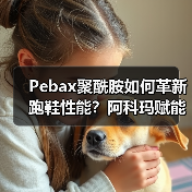 Pebax聚酰胺如何革新跑鞋性能?阿科玛赋能迪卡侬KIPRUN突破性跑鞋(图2) Pebax聚酰胺如何革新跑鞋性能?阿科玛赋能迪卡侬KIPRUN突破性跑鞋(图2)