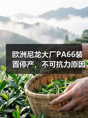 欧洲尼龙大厂PA66装置停产，不可抗力原因解析（图3）