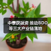 中泰获融资 推动BDO等三大产业链落地(图2) 中泰获融资 推动BDO等三大产业链落地(图2)