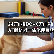 24万吨BDO+6万吨PBAT新材料一体化项目获批 环保投资占比近70%(图4) 24万吨BDO+6万吨PBAT新材料一体化项目获批 环保投资占比近70%(图4)