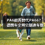 PA6能否替代PA66?德国车企用它制造车载充电器盖板(图1) PA6能否替代PA66?德国车企用它制造车载充电器盖板(图1)