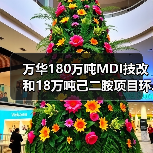 万华180万吨MDI技改和18万吨己二胺项目环...(图4) 万华180万吨MDI技改和18万吨己二胺项目环...(图4)