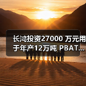长鸿投资27000 万元用于年产12万吨 PBAT...(图4) 长鸿投资27000 万元用于年产12万吨 PBAT...(图4)
