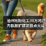 沧州旭阳化工30万吨己内酰胺扩建项目点火成...(图3) 沧州旭阳化工30万吨己内酰胺扩建项目点火成...(图3)