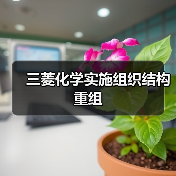 三菱化学实施组织结构重组(图4) 三菱化学实施组织结构重组(图4)