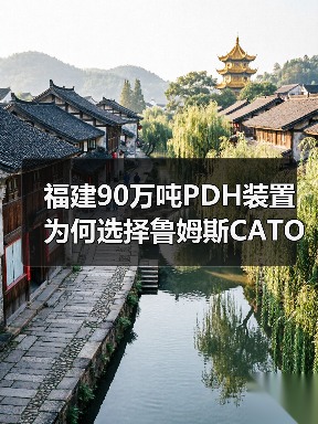 福建90万吨PDH装置为何选择鲁姆斯CATOFIN®技术?(图4) 福建90万吨PDH装置为何选择鲁姆斯CATOFIN®技术?(图4)