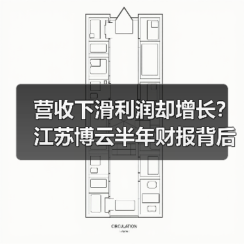 营收下滑利润却增长?江苏博云半年财报背后的真相(图1) 营收下滑利润却增长?江苏博云半年财报背后的真相(图1)