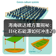 海南碳达峰方案揭秘:非化石能源如何冲击2030目标?(图3) 海南碳达峰方案揭秘:非化石能源如何冲击2030目标?(图3)