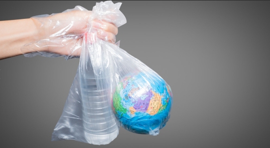 2024年全球塑料消费量据估突破5亿吨 联合国治理塑料污染新一轮谈判举行(图1)